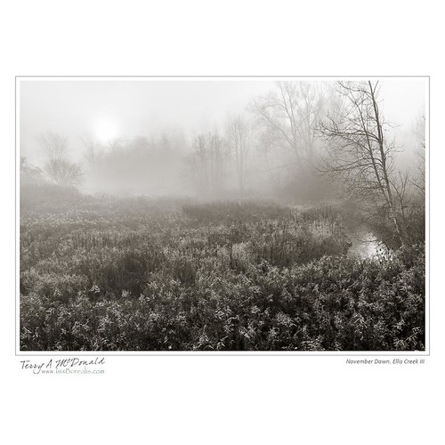 morning autumn mist ontario canada fall fog sunrise river landscape dawn scenery stream foggy wildflowers timing elliscreek nikond800e grandriverwatershed 2485nikkorafsvrii