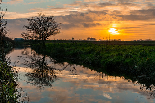 uk sunset sun reflection tree water clouds norfolk drain dyke marshes buckenham
