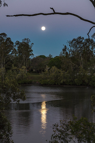 supermoon 2016 australia brisbane indooroopilly qld queensland fullmoon lunar moon sky sunset brisbaneriver reflection trees branch dusk