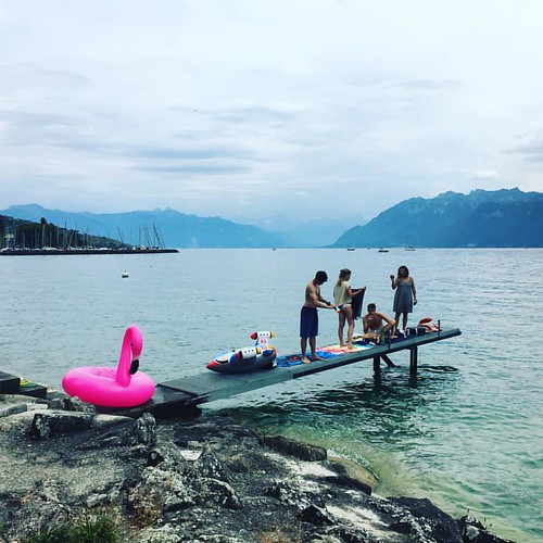 #pinkflamingo #pink #switzerland #everydayswitzerland #summertime #instasummer #lakegeneva #leman #instalake #bathing #teenagelife #instalandscape | by hyperlaxe (and far beyond)