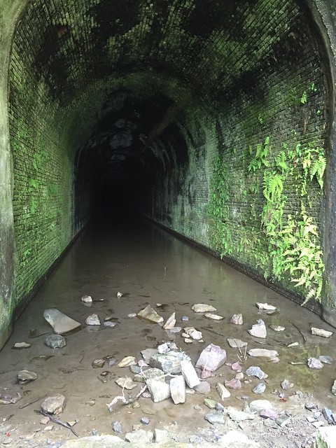 Tailcott WV: Inside of the original Great Bend Tunnel