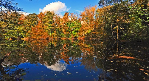 dark autumn colours | by GVG Imaging