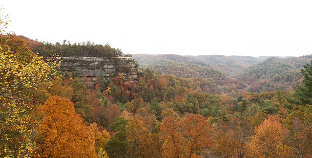 RED RIVER GORGE
