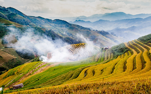 Terrace fields by the hillside - Vietnam
