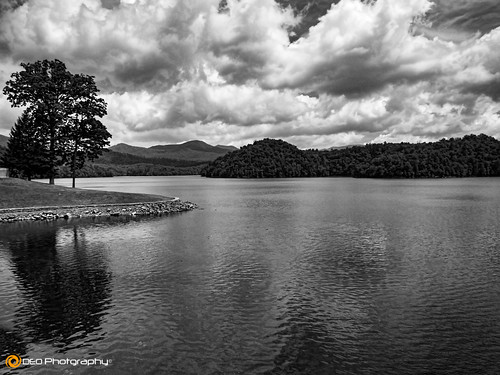trees blackandwhite bw lake mountains water monochrome clouds landscape mono outdoor northcarolina panasonic hiwasseedam fz200