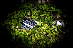 Discarded Signs, Chateau Gaillard, Les Andelys, France