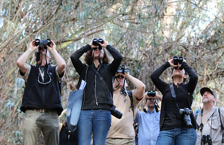 Viewing Monarchs with Binoculars | by USFWS Pacific Southwest Region
