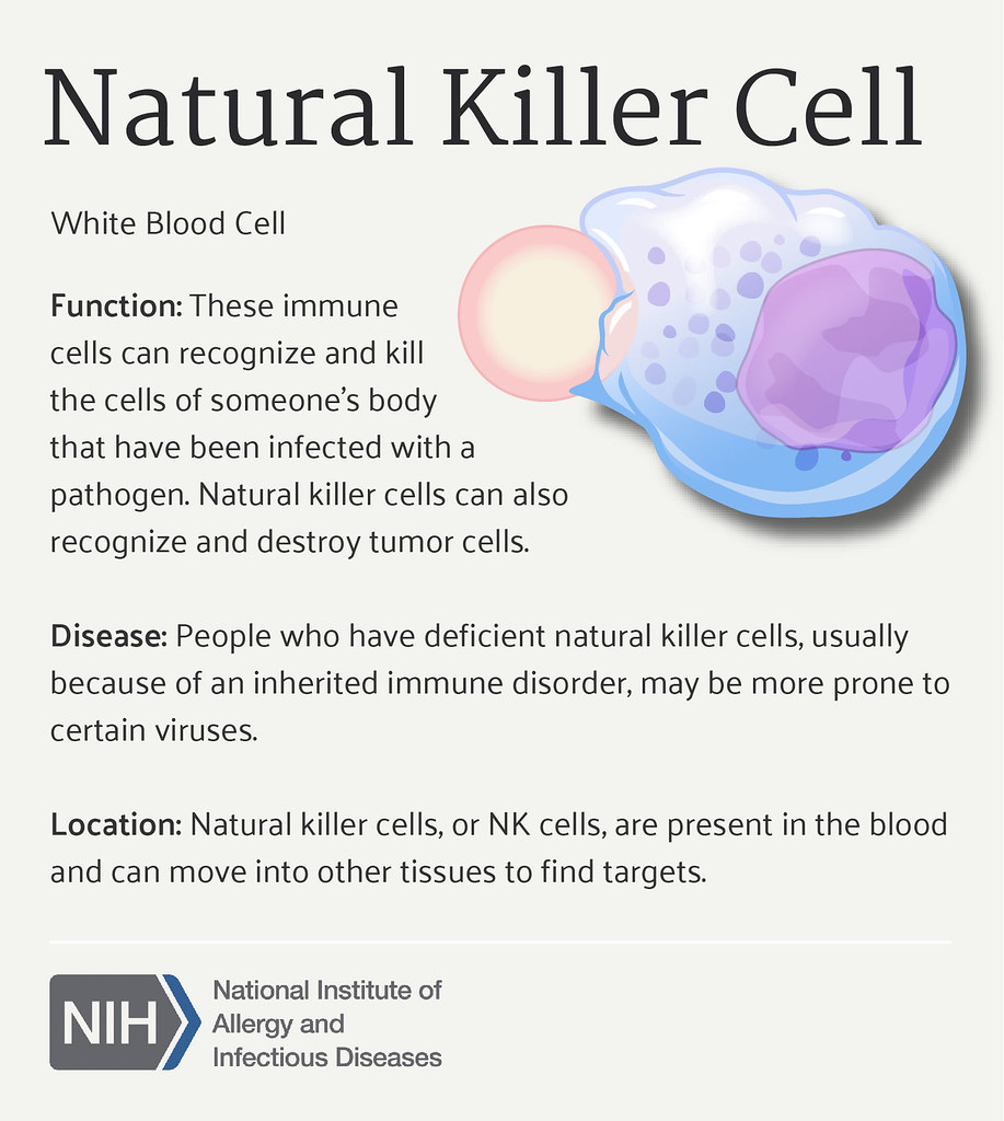 Natural Killer Cell | Natural killer cell function, relation… | Flickr