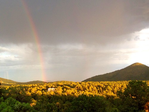 newmexico rainbow