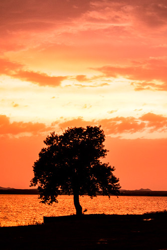 Storm Sunset Enhanced by Greg Morris Wildlife Photography, A sunset immediately after an Oklahoma T-storm, enhanced with lots of extras in LRCCorange tree okla