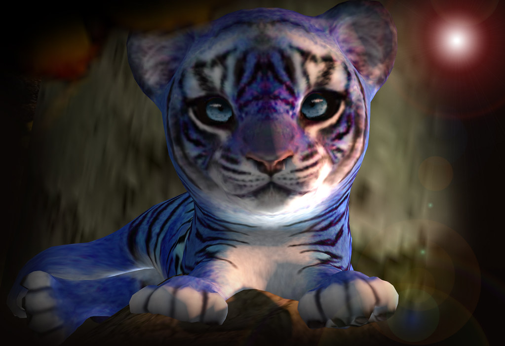 Cute Shot of Mesh baby Tiger