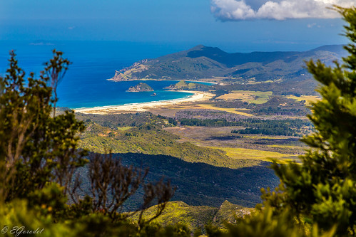 new travel newzealand mountain tourism beach nature trekking landscape island track great hike auckland zealand valley nz barrier wilderness hobson greatbarrierisland medlands