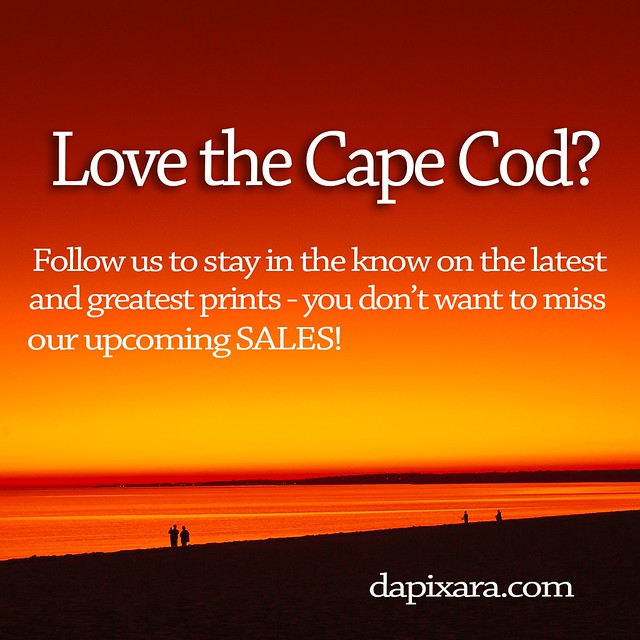 Love the Cape Cod?