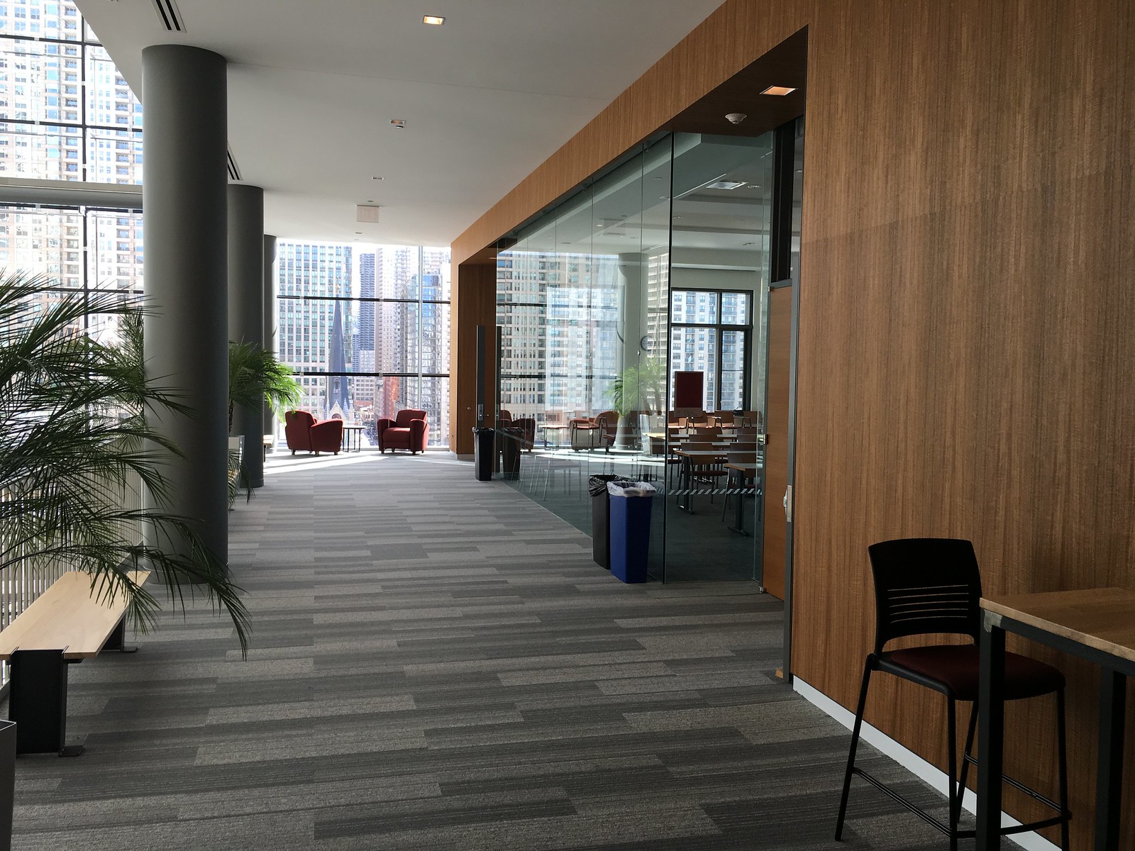 Screiber 10th floor reception area