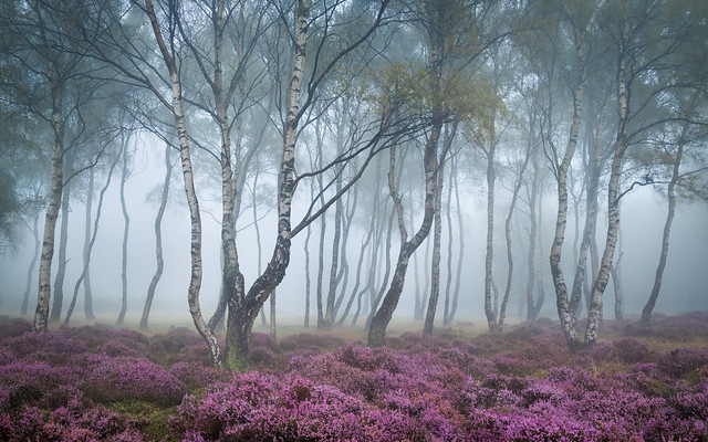 Commended - Landscape Photographer of the Year 2015