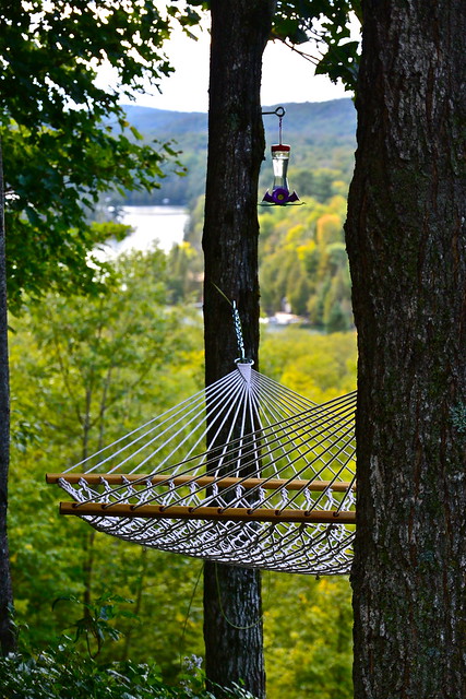hammock and hummingbird feeder