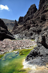 Algea river at Wadi Dirho 1