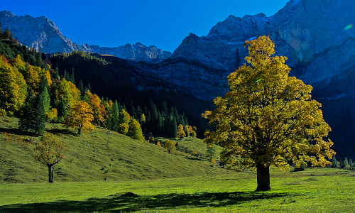 autumn trees shadow sun mountains alps nature austria tirol österreich maple herbst natur berge alpen kati sonne bäume schatten eng katharina karwendel 2015 ahorn ahornboden nikon1v1 gemeindevomp