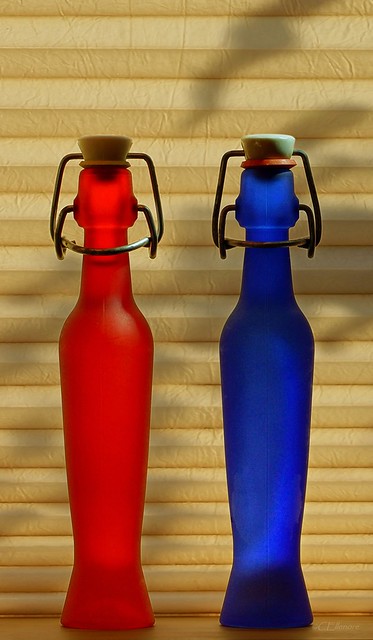 Flaschengeist  / genie in a bottle (2)