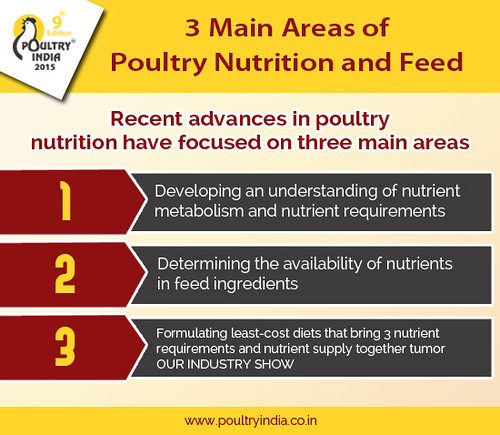 Poultry Nutrition & Feed