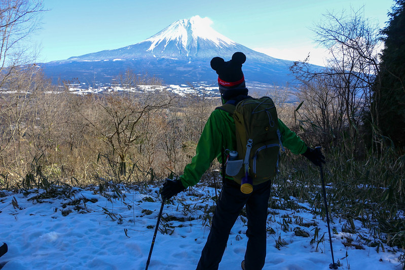 ミッキーマウスと富士山