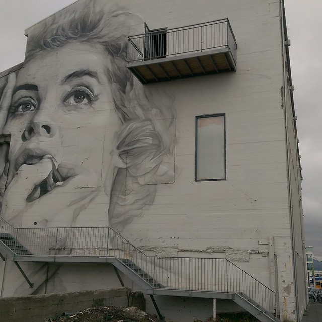 Reykjavik mural