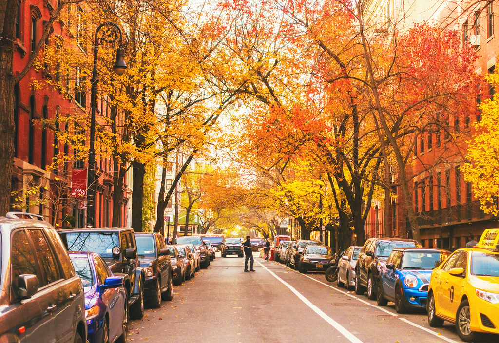 Autumn in New York - East Village Fall Foliage - a photo on Flickriver