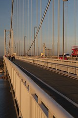 Forth Road Bridge
