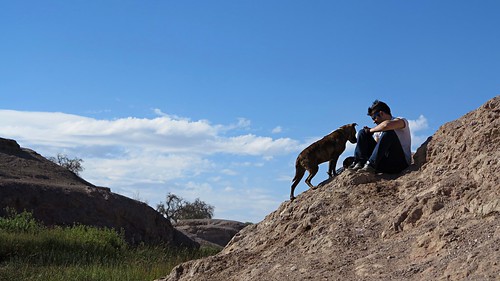 rio loa perro mascota pet boy river el calama chile desierto atacama desert 2016