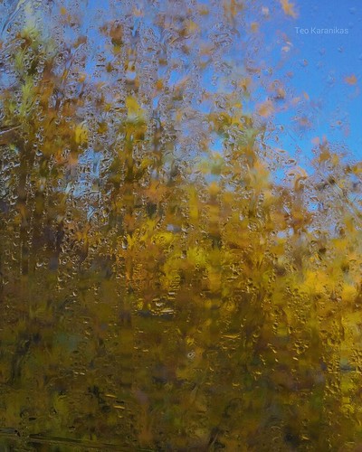 morning abstract tree window vangogh