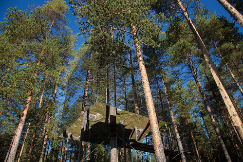 Mirror Cube, Treehotel, Harads | by tclemitson