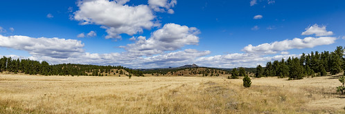 panorama canon7dmarkii 2470mm yellow grass blue sky white clouds trees teller co colorado florissantfossilbedsnationalmonument sanden