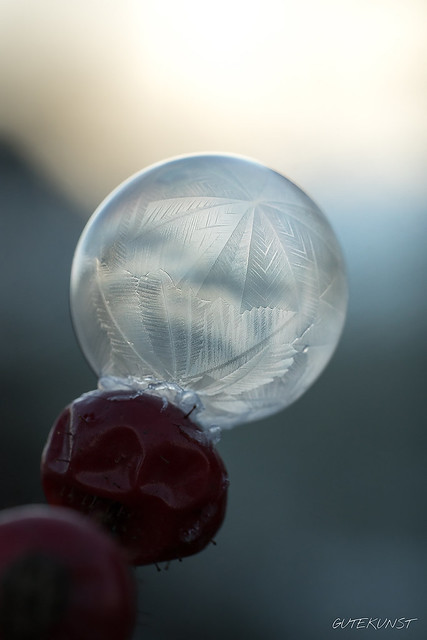 Fr, 2017-01-06 17:23 - Gefrorene Seifenblasen sind durch die entstehenden Eiskristalle wunderschön anzusehen! Wie man sie fotografiert hat Hanne Walde hier zusammengefasst: www.makro-treff.de/article/foto-howto-gefrorene-seifenblasen