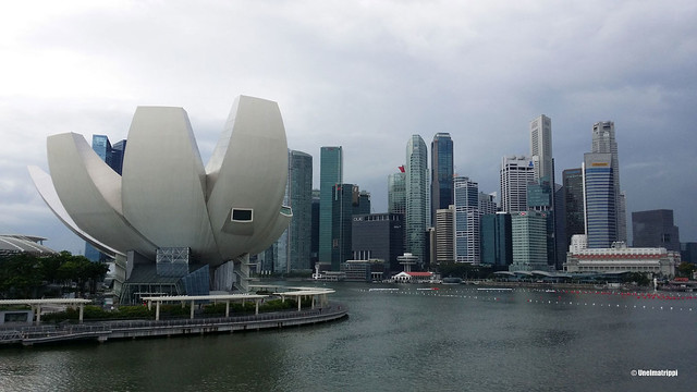 Singapore ArtScience Museum