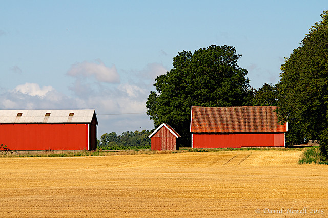 Farm sheds Skane, Sweden. 2015-08-24 - 2015-08-18 at 18-01-09