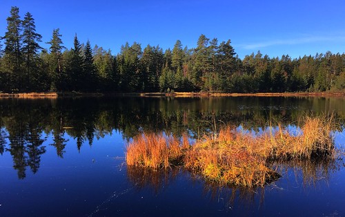 autumn sun lake fall nature norway landscape norge moody tranquil pondwater høst beaytiful iphone6plus