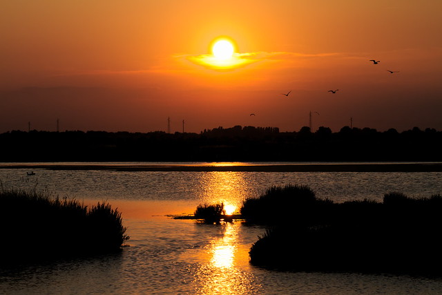 Sunset on Cervia (Italy)