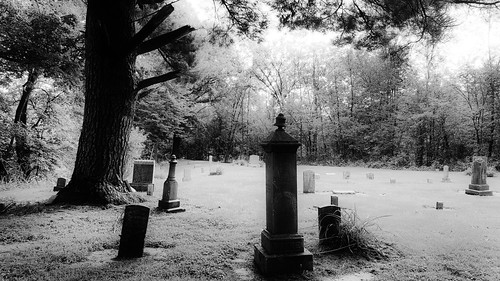 cemetery graveyard waynecemetery wisconsin wisconsinriver scenic bluff path isolation gravestone markers afterlife eternalrest peace rural historical blackandwhite monochrome