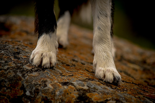 Contact | by JJFET