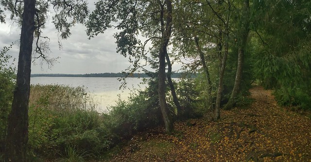 On the shores of Lake Svityaz