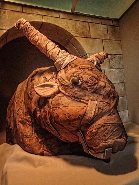 Carefully wrapped Mummified bull containing only a jumble of bones 300 BCE - 400 CE Egypt