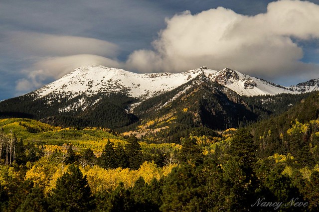 Fall colors with first snow
