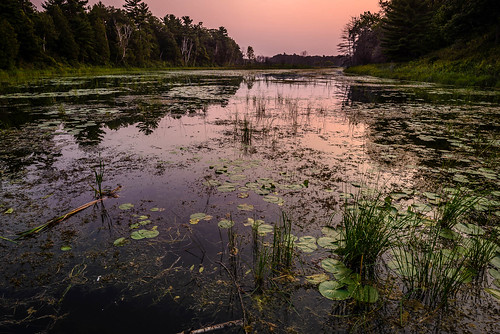 camping sunset sun ontario canada beach water forest river reeds landscape outside outdoors lilypads oaks grandbend pineryprovincialpark ultrawideangle summer2015 oldausableriver