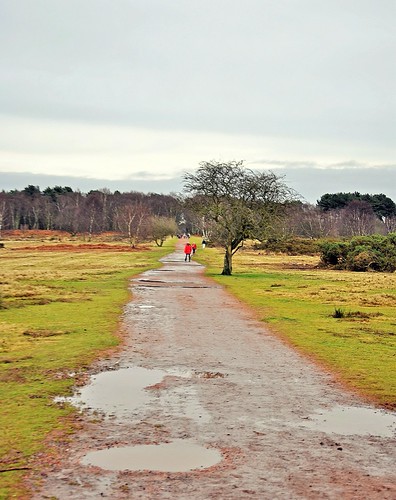 19948 | Sutton Park the largest Urban Park in the United Kin… | Flickr