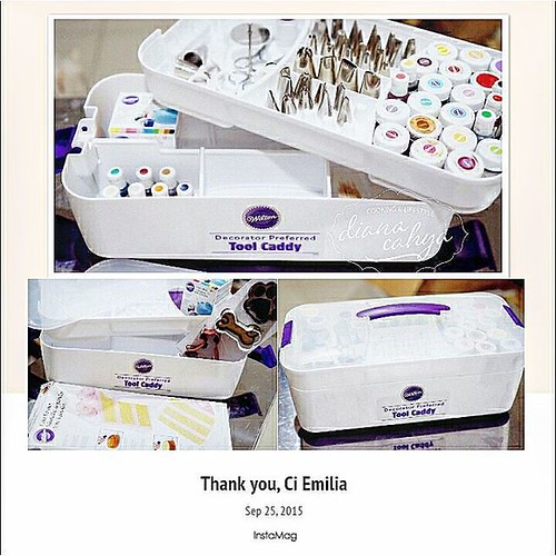 Thank you, dear Ci Emilia who brought these cute things (Wilton Tool Caddy, Wilton Cake Leveler, Wilton Icing Color, Wilton Cookies Cutter, and the long lasting Mascara *lol*) from USA to us.  It's so kind of you, these things will make us always remember | by din2902
