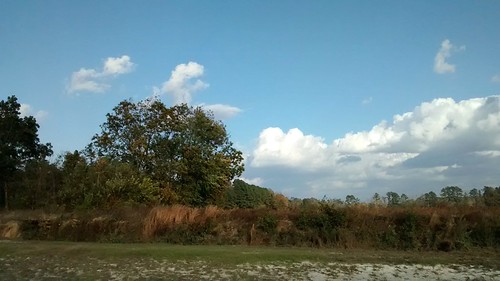 Landscape Scene. by dccradio, My wife and I walked on the trail this afternoon at Northeast Park in Lumberton, NC.lumberton nc nor