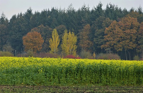 1310237 panasonicdmcfz150 herfst herbst autumn fall automne landschap landscape landschaft paysage platinumheartaward