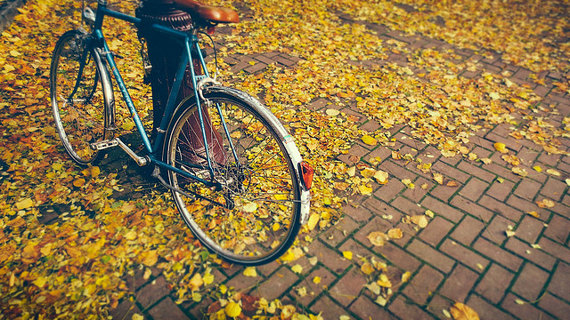 Autumn Pedals