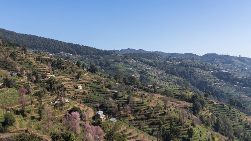 bhaktapur centraldevelopmentregion nepal np canon 1dx markii nagarkot landscape steps nature availablelight moodandatmosphere travelphotography urban