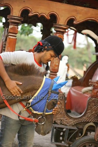 pubudu | by pubudugamage17